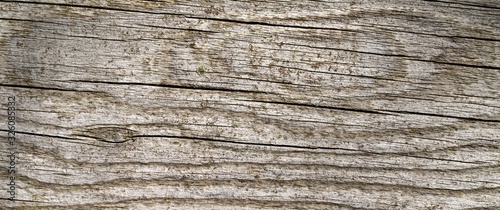 Vieux bois gris - arrière-plan texture