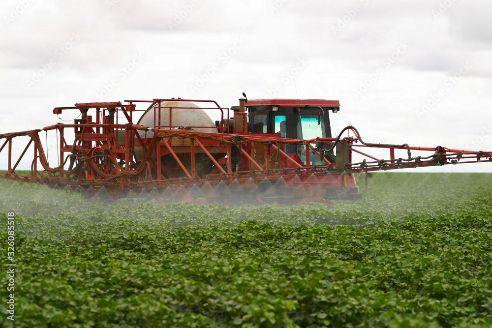 Fototapeta premium pulverizador em plantação de algodão, utilização de agrotóxicos