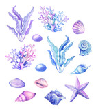  Watercolor seashells, starfish in blue, pink and purple colors.