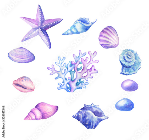  Watercolor seashells, starfish in blue, pink and purple colors.