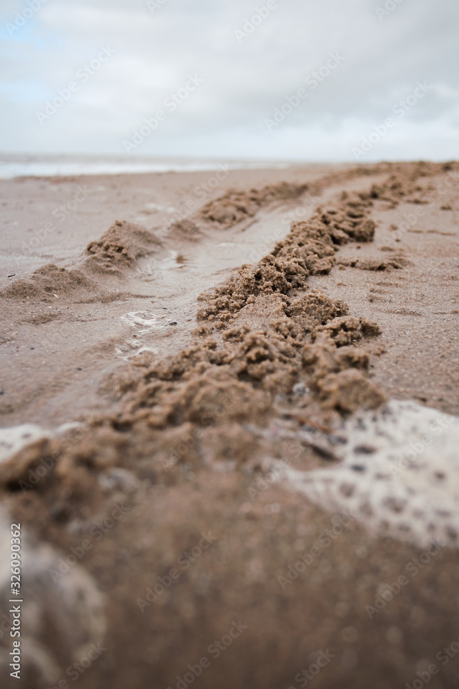 Tyre tracks going off in the distance on a golden sandy beach on an overcast day. moving forward progression and driving off road on the beach Tyre tracks going off in the distance on a golden sandy beach on an overcast day. moving forward progression and driving off road on the beach