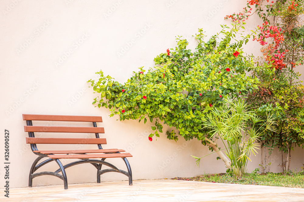 Obraz premium Figured bench made of metal and wood next to the house on the background of a beige light pink, wall with green flowering bushes.