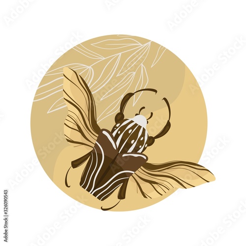Goliath beetle. Goliathus cacicus vector hand drawn illustration.
