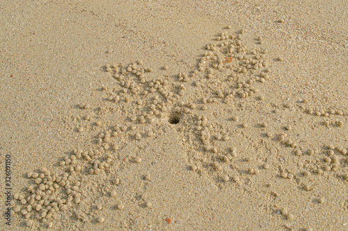 Sand bubbler crab and balls of sand