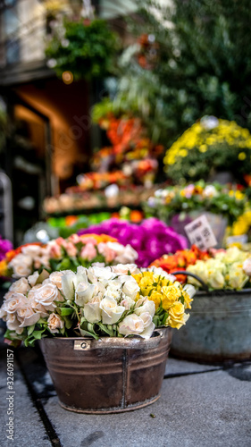 Street shop with cut flowers. Vienna. Austria © daria_serdtseva