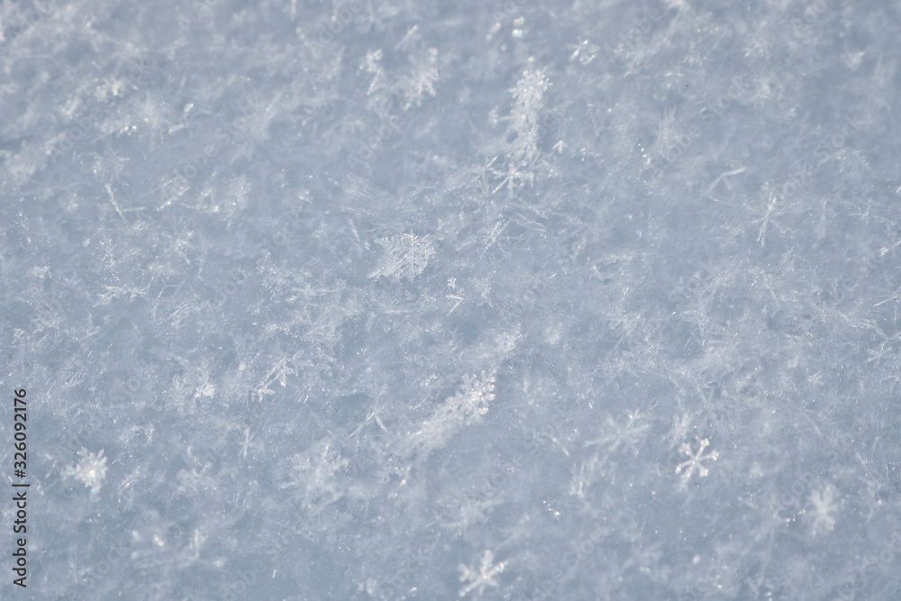 The texture of freshly fallen snow. Christmas template for design. Clearly visible individual snowflakes. Winter background.