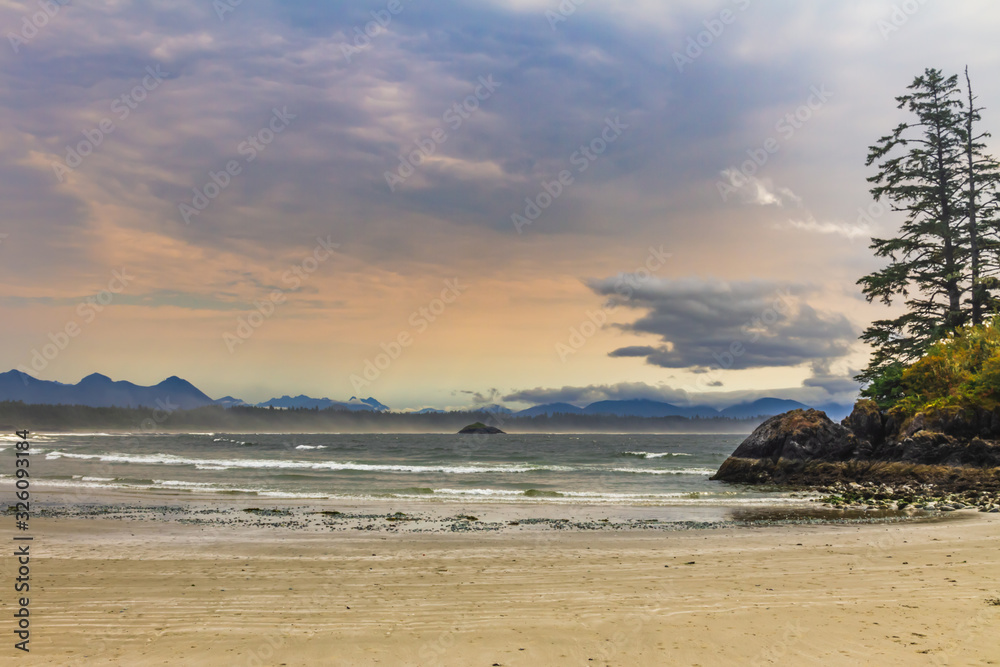 Fototapeta premium Tofino beach - Vancouver Island, British Columbia, Canada