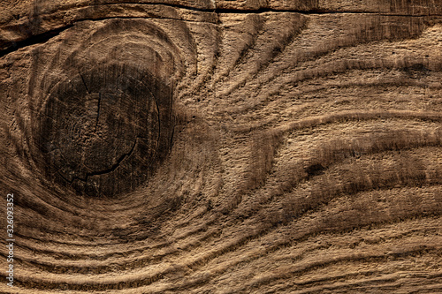 Close up shot of surface of trees, wooden texture for background or devices wallpapers. Abstract design, usual, natural materials. Detailed grungy artwork. Copyspace, advertisement. Vintage style.