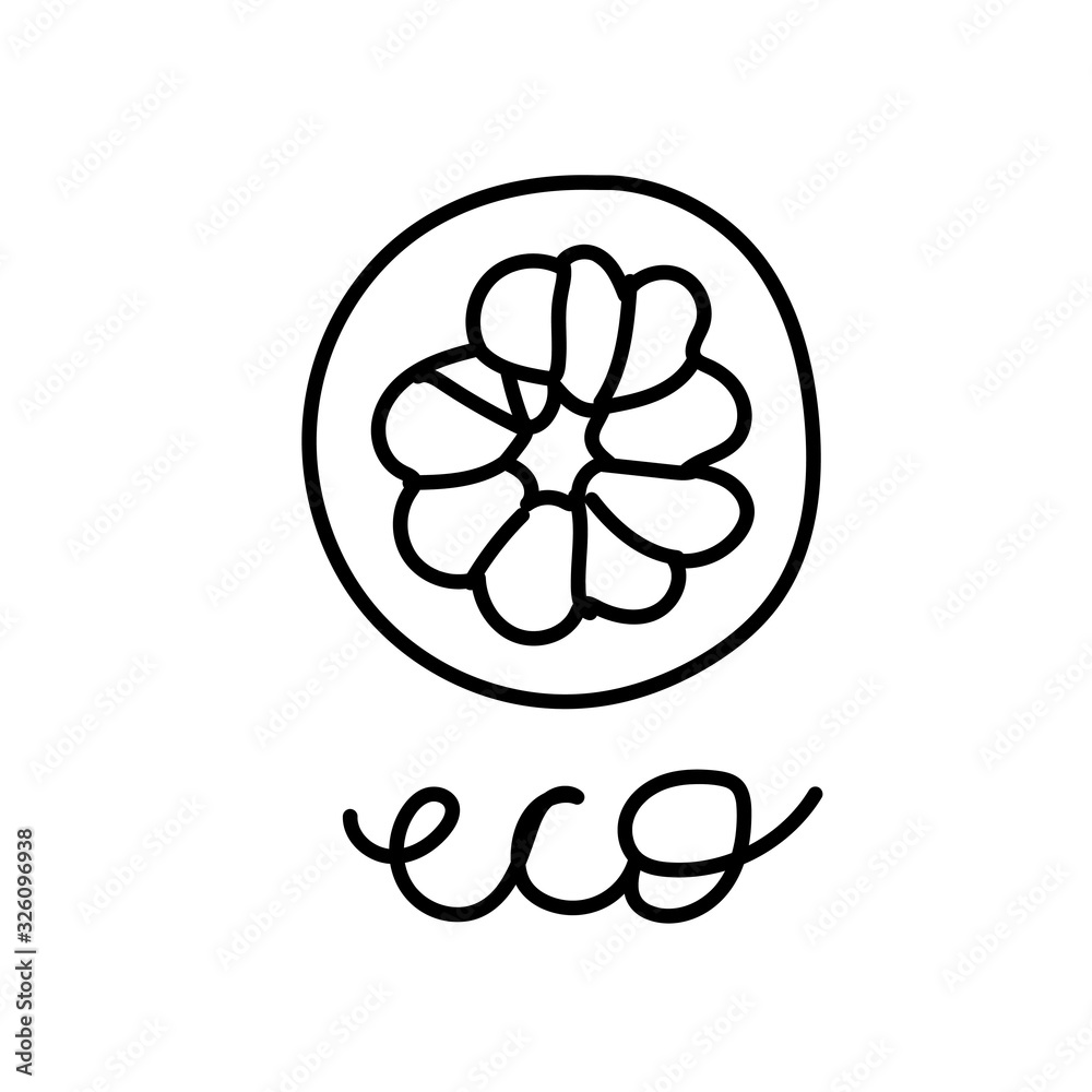 Vector single grapefruit.Ecological illustration doodle black line on a white isolated background.Design for social media, web,cards,textiles,wrapping paper,packaging,prints,coloring. Vector single grapefruit.Ecological illustration doodle black line on a white isolated background.Design for social media, web,cards,textiles,wrapping paper,packaging,prints,coloring.