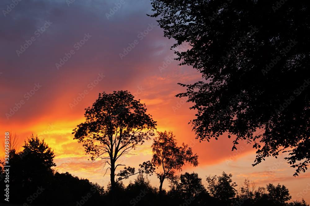 Landscape of silhouetted trees and dawn sky, Lake Doster, Michigan, USA Landscape of silhouetted trees and dawn sky, Lake Doster, Michigan, USA