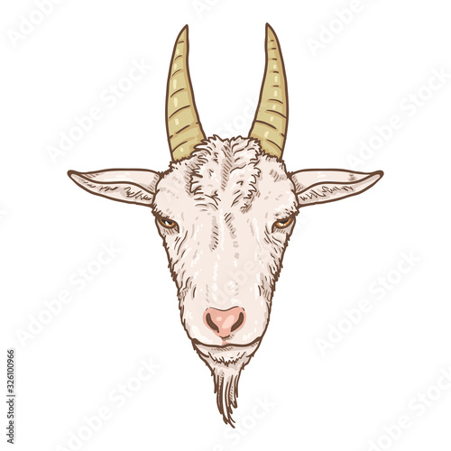 Vector Cartoon Goat Head.