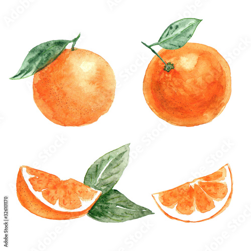 Fototapeta Naklejka Na Ścianę i Meble -  Set of oranges with leaf and orange slices, watercolor illustration isolated on white background, packaging design element.