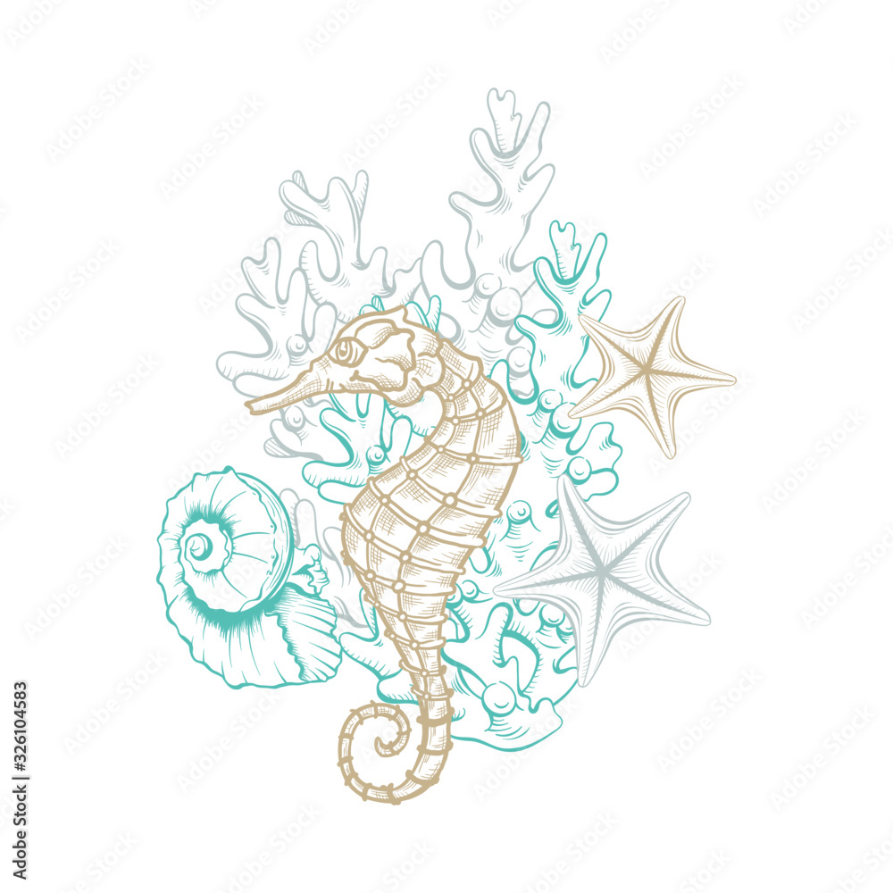 Ocean and sea marine line art, vector seahorse, starfish and seashell ...