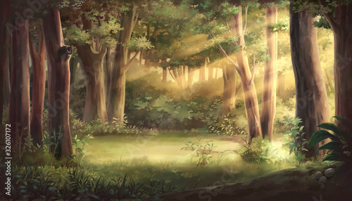 Light and forest - Afternoon , Anime background , Illustration. 