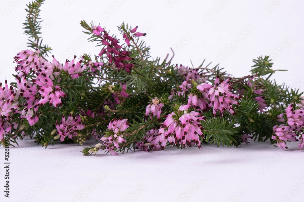 composition of spring flowers lie on a table composition of spring flowers lie on a table
