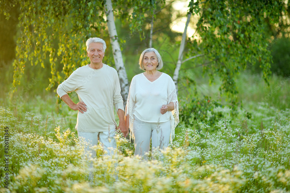 Beautiful caucasian senior couple in the park Beautiful caucasian senior couple in the park
