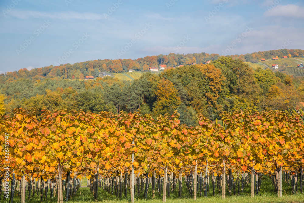 Herbst in der Steiermark