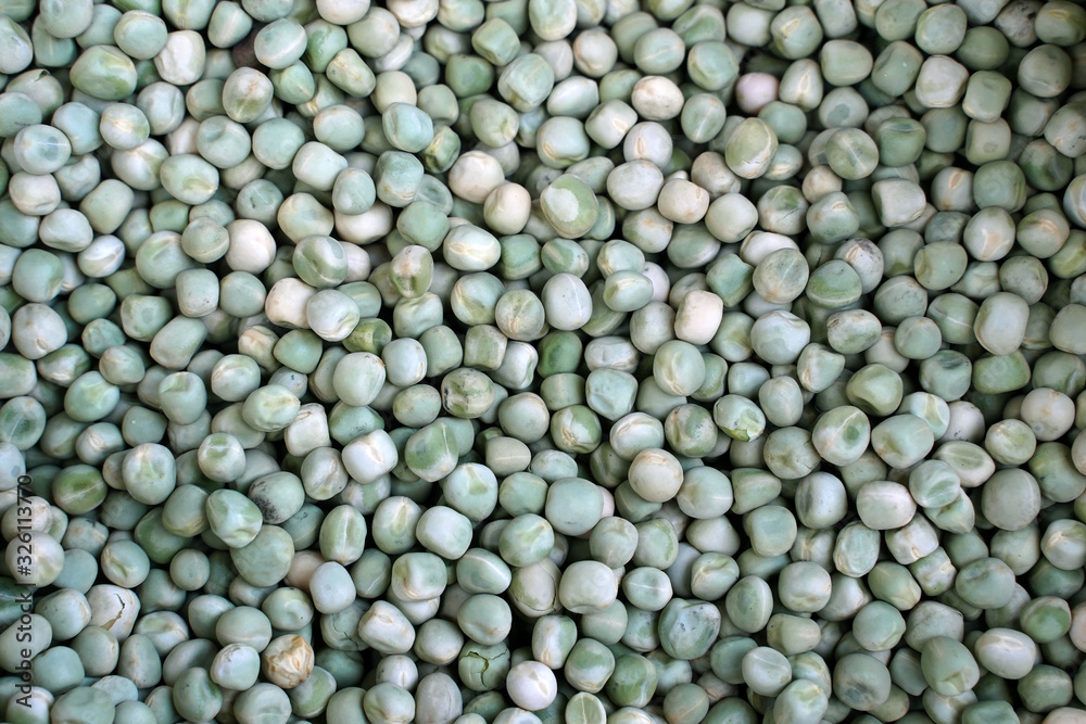 Dry pea seeds for planting in a field Dry pea seeds for planting in a field