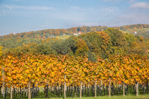 Fototapeta Naklejka Na Ścianę i Meble -  Herbst in der Steiermark