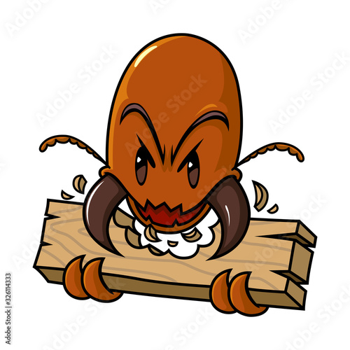 Cartoon termites eating wood, vector