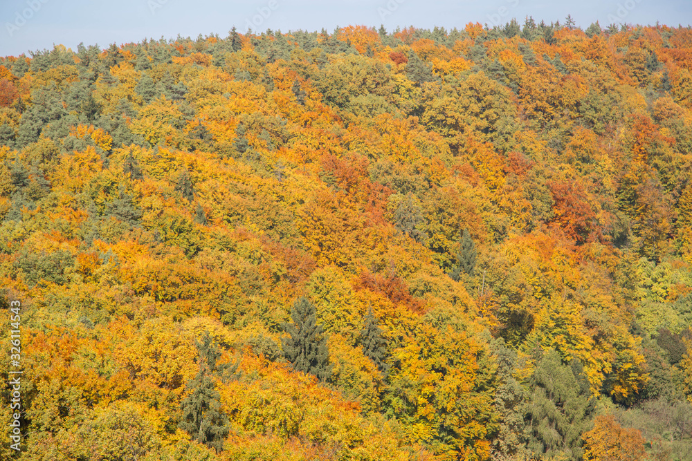 Herbst in der Steiermark