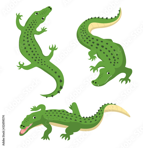 Green alligators set wild animal vector isolated