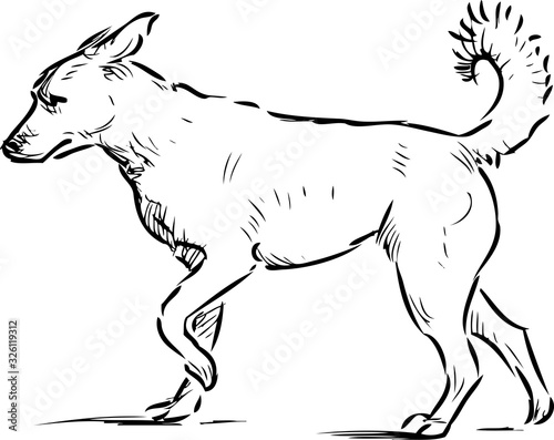 Outline sketch of walking guard dog