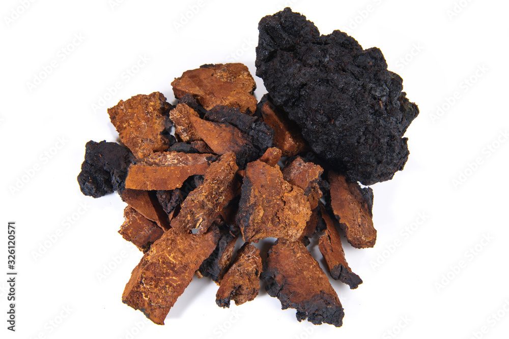 Chaga Mushroom isolated - Natural Minerals Chaga Mushroom isolated - Natural Minerals