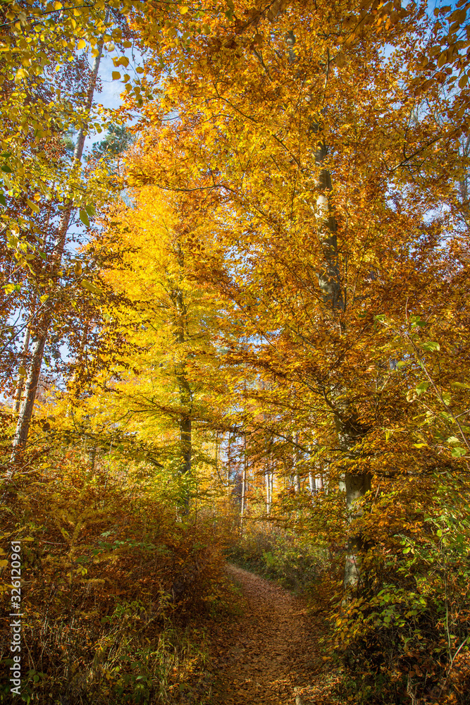 Obraz premium Herbstfarben