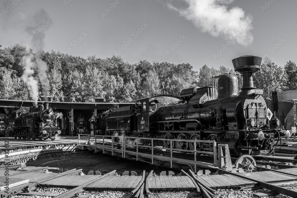  meeting of operating steam locomotives in historical depot