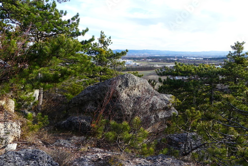 felsige Waldlandschaft