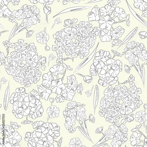 elegant floral seamless pattern. Vintage monochrome phlox flowers on a light background. Spring; summer holidays presents and gifts wrapping paper; For textiles; packaging; fabric; wallpaper.