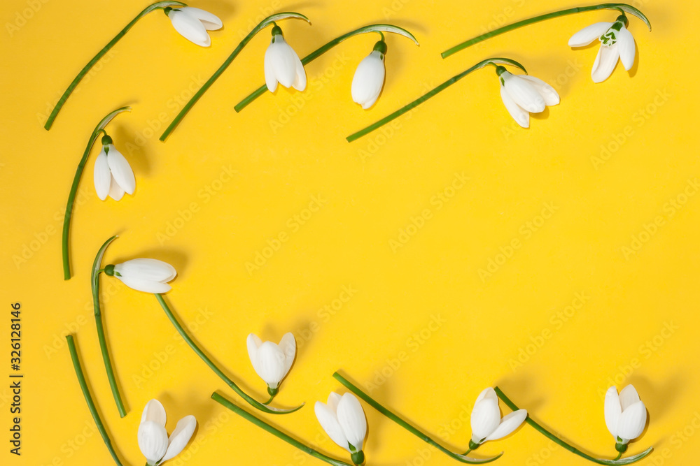 Fototapeta premium Beautiful white snowdrops Galanthus nivalis on a yellow background with copy space. Top view, flat lay