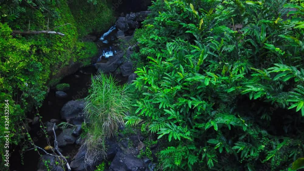 Video Stock Maui, Hawaii Hana Highway Wailua Falls, near Lihue, Kauai. Road to Hana connects
