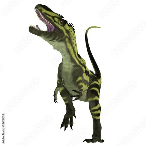 Naklejka Torvosaurus Dinosaur on White - Torvosaurus was a carnivorous theropod dinosaur that lived in Colorado and Portugal during the Jurassic Period.