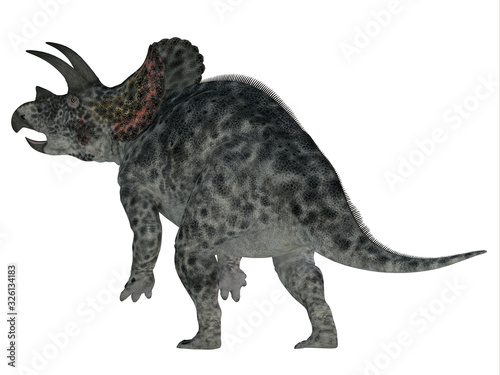 Triceratops Dinosaur Tail - Triceratops was a herbivorous Ceratopsian dinosaur that lived in North America during the Cretaceous Period. © Catmando