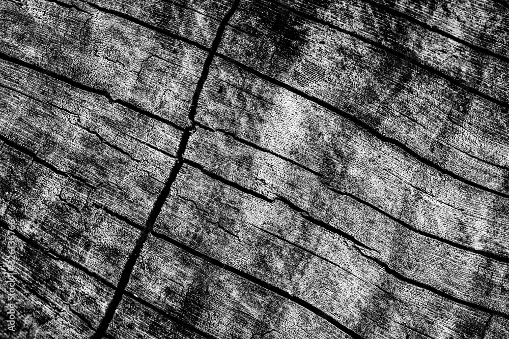 Fototapeta premium Wood abstract