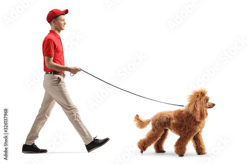 Young male dog walker with a red poodle photo