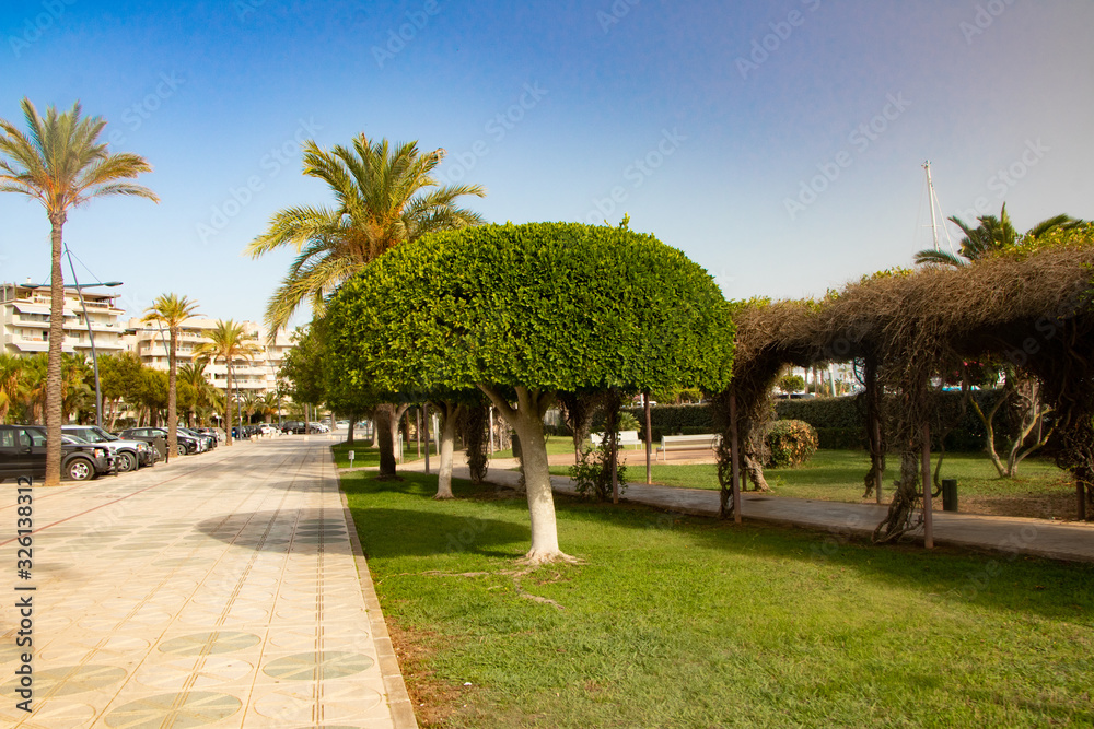 park in Ibiza-spain