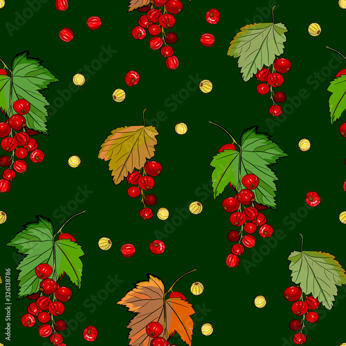 berry seamless pattern. Red currant with leaves and berries. Summer background, Detailed hand drawn food for packaging design, tea or juice label, print,for fabric, wrapping,