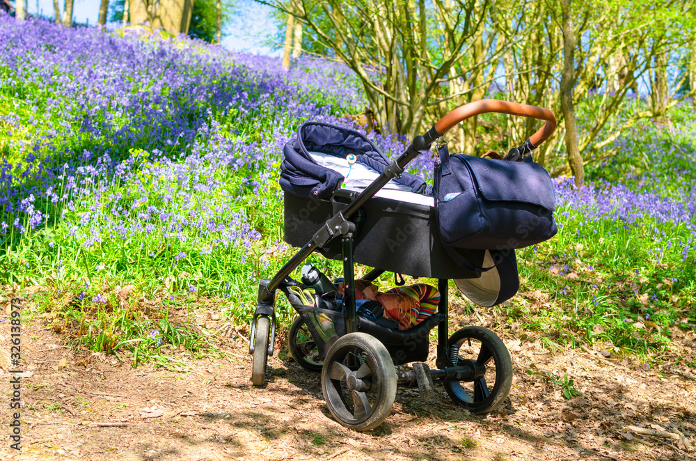 A baby carriage in a field of bluebells in spring