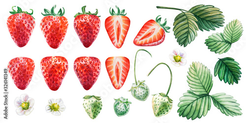 Watercolor set of red juicy strawberries with leaves. Hand drawn food illustration. Fruit print. For postcards, packages, cards, logo, desserts. Summer sweet and bright fruits and berries.