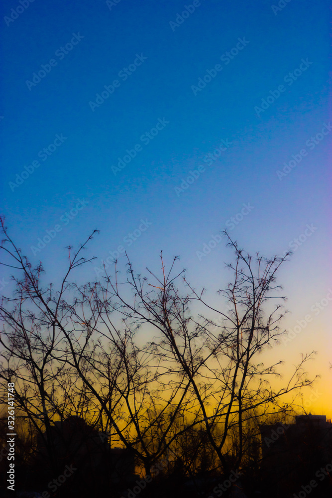 sky