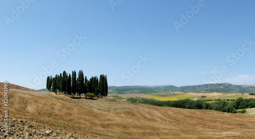 Toscana cypress hill - Italy