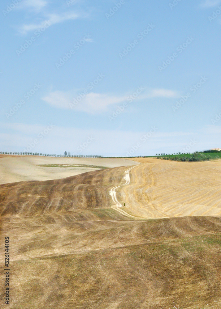 Toscana cypress hill - Italy