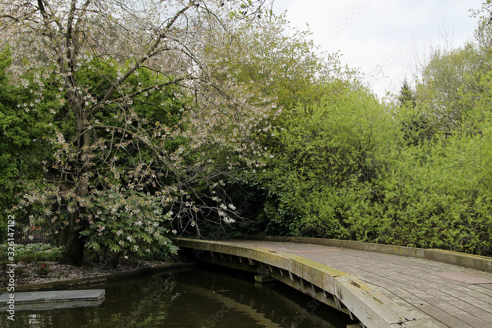 bridge over the river in the park with green bush and trees in the summer day. Springtime bridge over the river in the park with green bush and trees in the summer day. Springtime