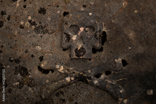 Concrete Skull