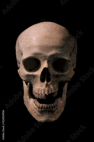 Front view of human skull with mouth open. isolated on black background. 