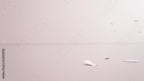 舞い散る桜の花びら Spring Fluttering Cherry blossom petals