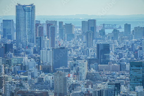 東京都庁の展望台から見える東京の街並み
